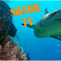 Riverview High Shark TV
