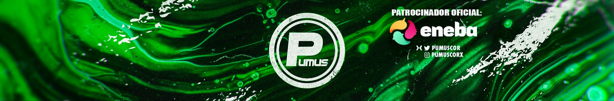 Pumsucor