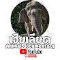 เฮียเลียด​ : Animal documentary