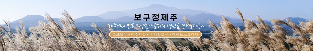 보구정제주