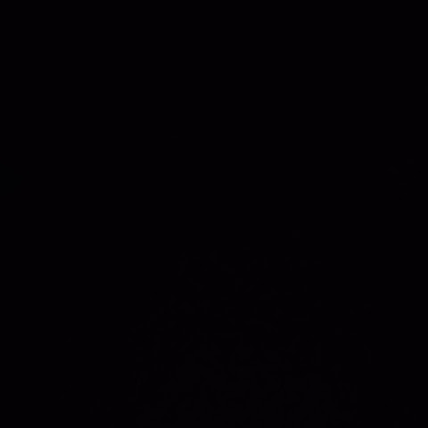 influencer profile picture
