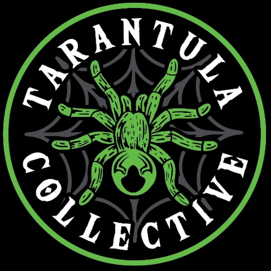 Tarantula Collective @tarantulacollective