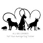 All Big Canines, LLC