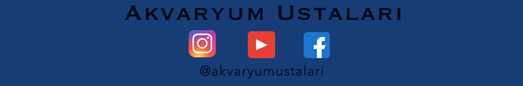 Akvaryum Ustaları