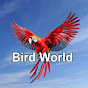 Bird World