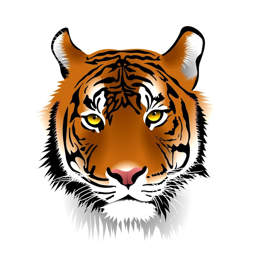 Растровый рисунок тигра