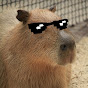 HypixelCapybara