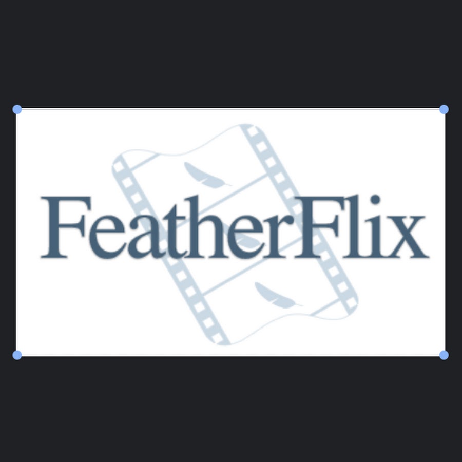 FeatherFlix Bird Identification App