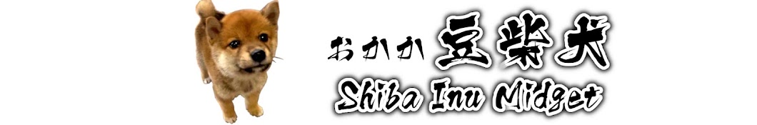 まめ柴のおかか