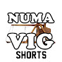 NumaVIG shorts