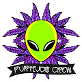 Artist Thumbnail