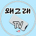 왜그래TV