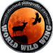 WORLD WILD WING