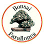 Bonsai Farallones