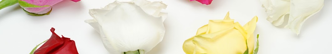 Người Rừng Cali Banner