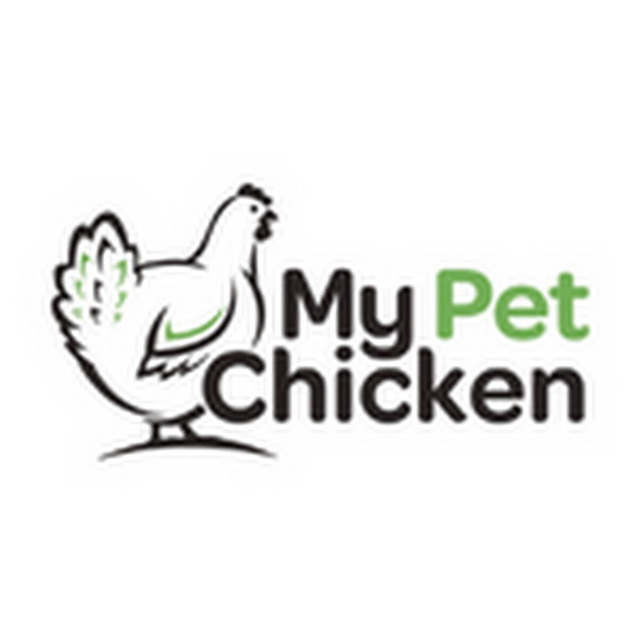 My Pet Chicken - YouTube My Pet Chicken