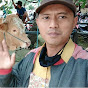 Sapi Mulyono