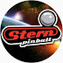 logo Stern Pinball