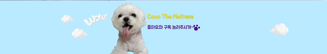 Kang CoCo