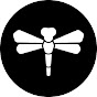 DragonflyDB