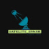 logo Satelite_spark