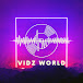 Vidz World