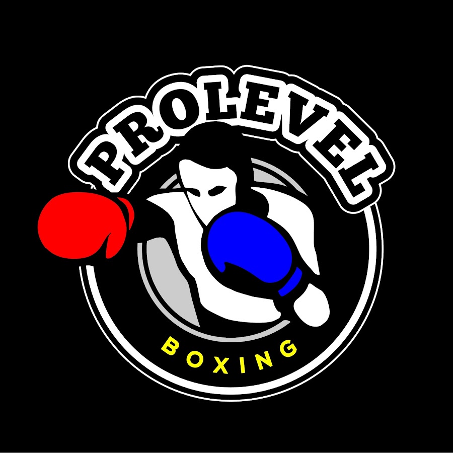 Pro Level Boxing @prolevelboxing