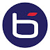 logo Bluechip Infotech New Zealand Ltd