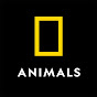 Nat Geo Animals