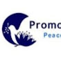 Promoting Enduring Peace Video