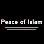 Peace Of Islam