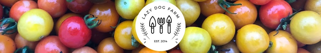 Lazy Dog Farm Banner