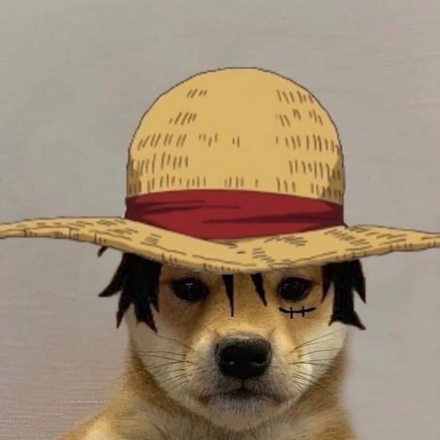 Ава собака мем. Собака Луффи. Собака Ван Пис. Авы собак в шляпе. Ава собака в шапке.