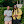 zionlennox avatar