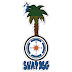 logo SWAPBSG