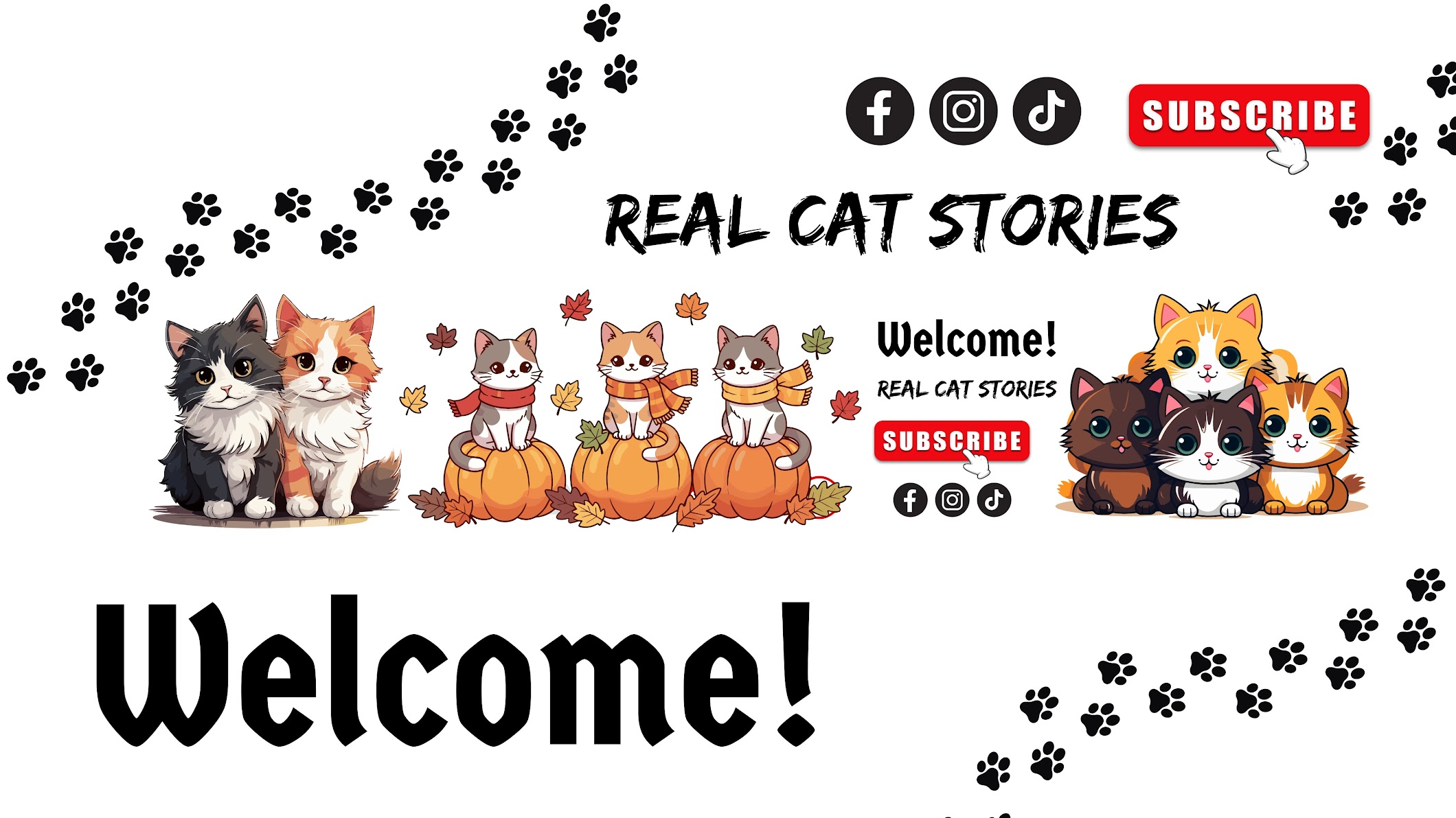 Story Arc Paws