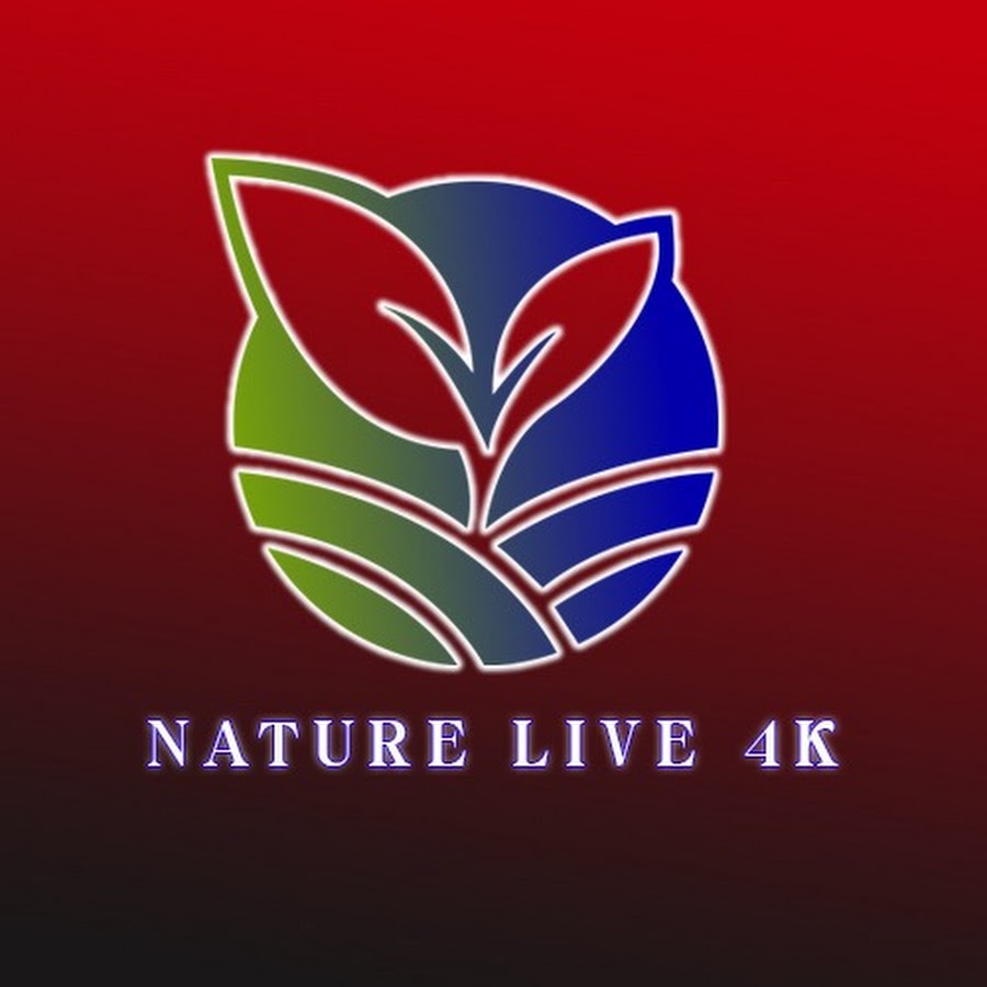 Nature Live 4k @naturelive4k2023