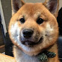 shibainu ONIGIRI