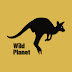 logo Wild Planet