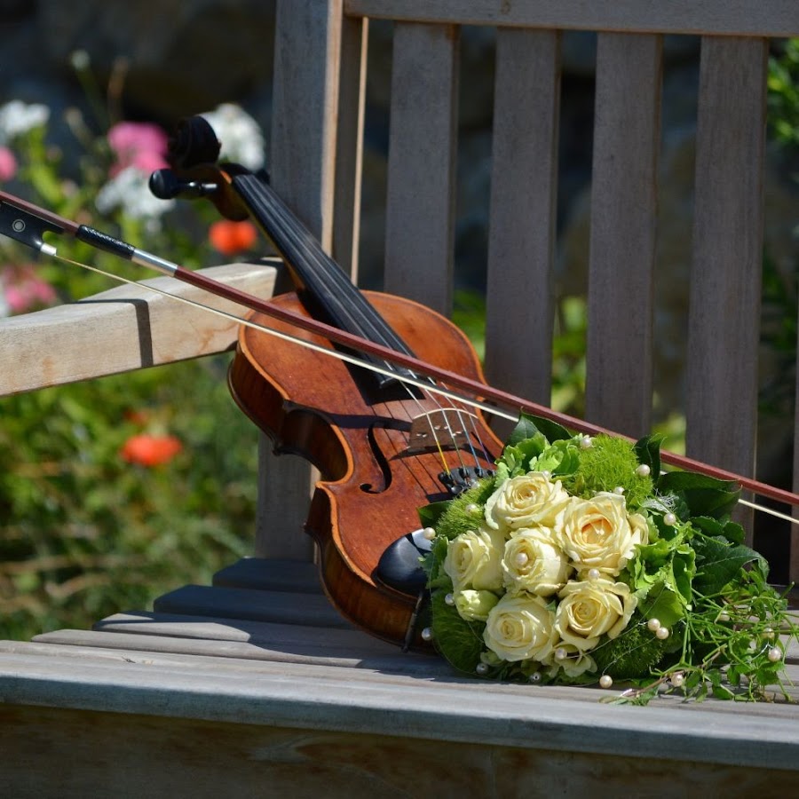 Violin love. Скрипка Инстаграм. Музыка весны. Фото на берегу стоит скрипка и розы.