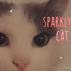 sparkly cat mix