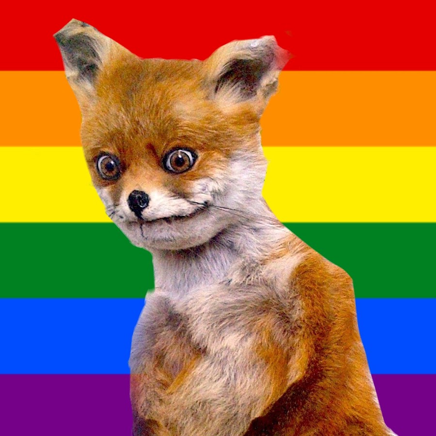 gay fox clips MEGA - YouTube