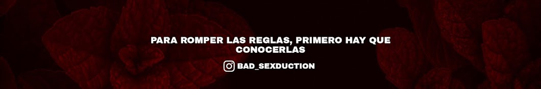 Bad SexDuction Banner