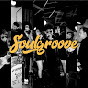 Soulgroove band