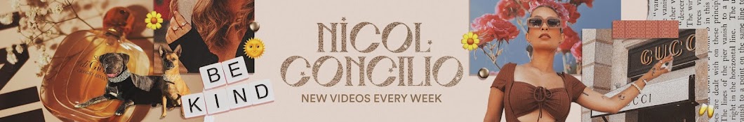 Nicol Concilio Banner