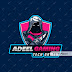 logo TechWithAdeel