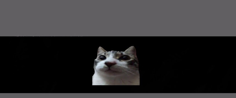Artist Thumbnail