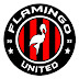 Flamingo United 