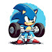 Sonic Toons