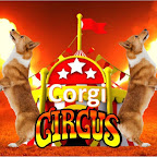 Corgi Circus